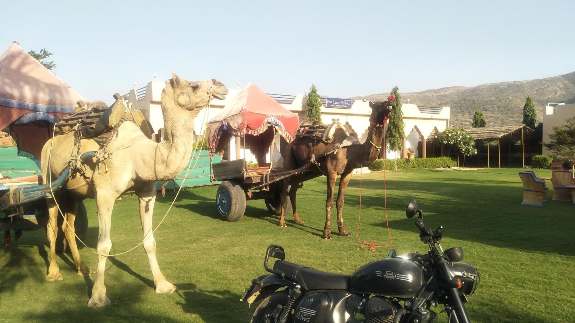 Pari Resort With Nature View Pushkar Extérieur photo